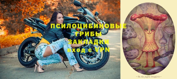 крисы Белоозёрский
