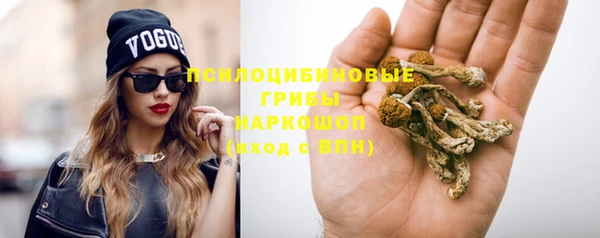 таблы Белокуриха