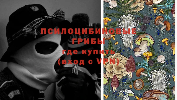таблы Белокуриха