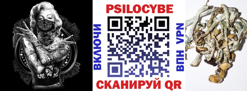 Псилоцибиновые грибы Psilocybine cubensis  Магас 